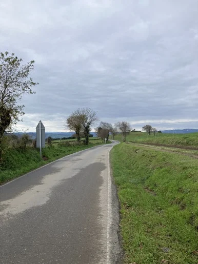 IMG_8292.jpg?type=w386