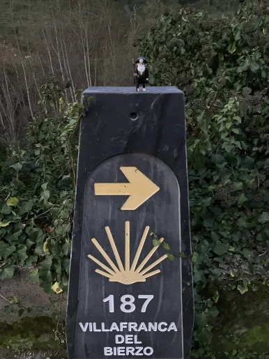 IMG_7595.jpg?type=w386