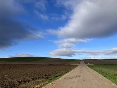 IMG_3344.jpg?type=w386