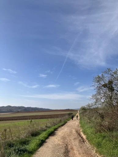 IMG_2648.jpg?type=w386