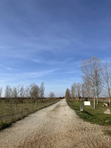 IMG_4949.jpg?type=w386