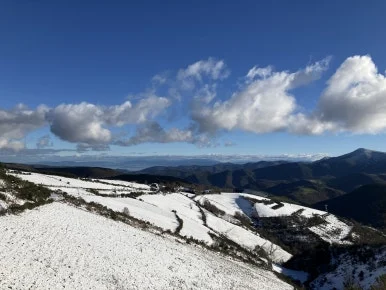 IMG_7801.jpg?type=w386