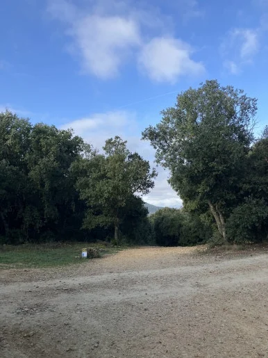 IMG_2594.jpg?type=w386