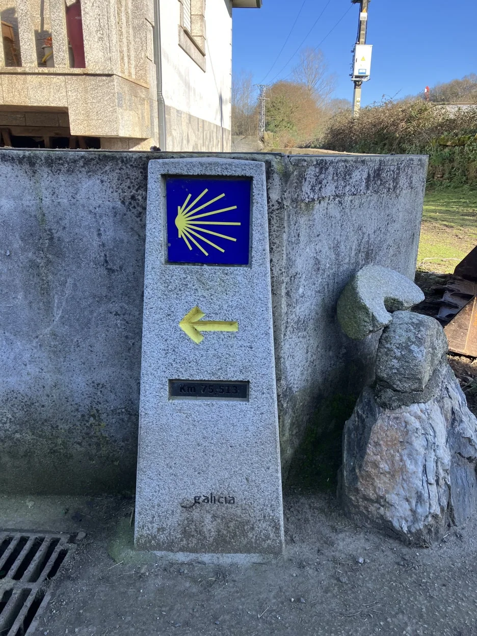 IMG_8953.jpg?type=w1