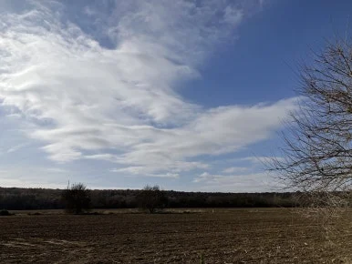 IMG_4982.jpg?type=w386