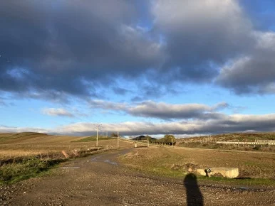 IMG_3313.jpg?type=w386