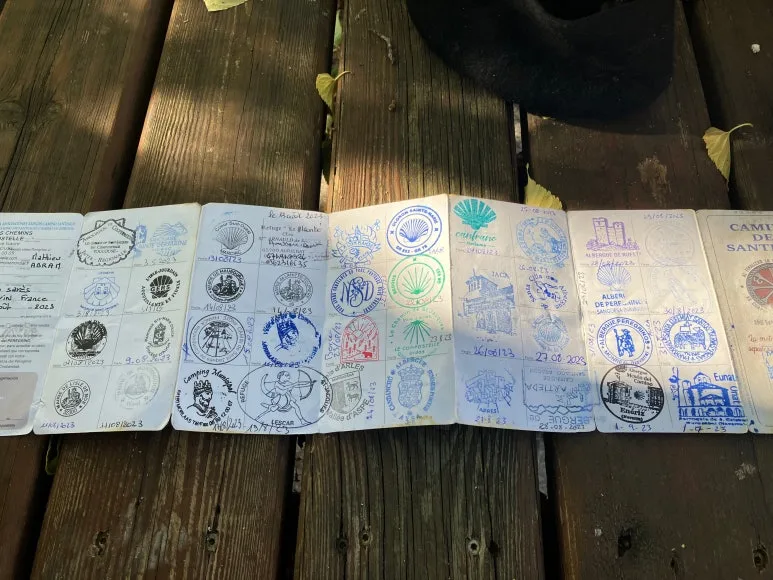 SE-4f236c02-7153-431a-8505-a9521083d32c.jpg?type=w773