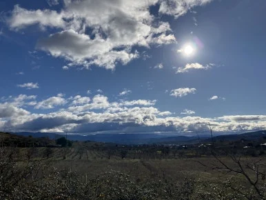 IMG_7517.jpg?type=w386