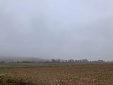 IMG_4665.jpg?type=w386