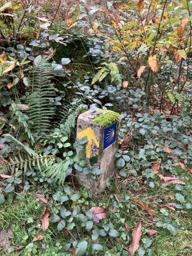 IMG_1965.jpg?type=w386