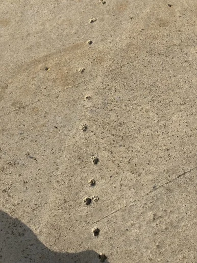 IMG_5085_2.jpg?type=w386