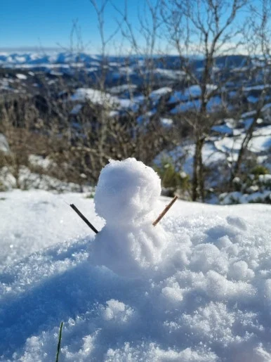 c8e99510-19fe-4f8d-8802-f3f032540b87.JPG?type=w386