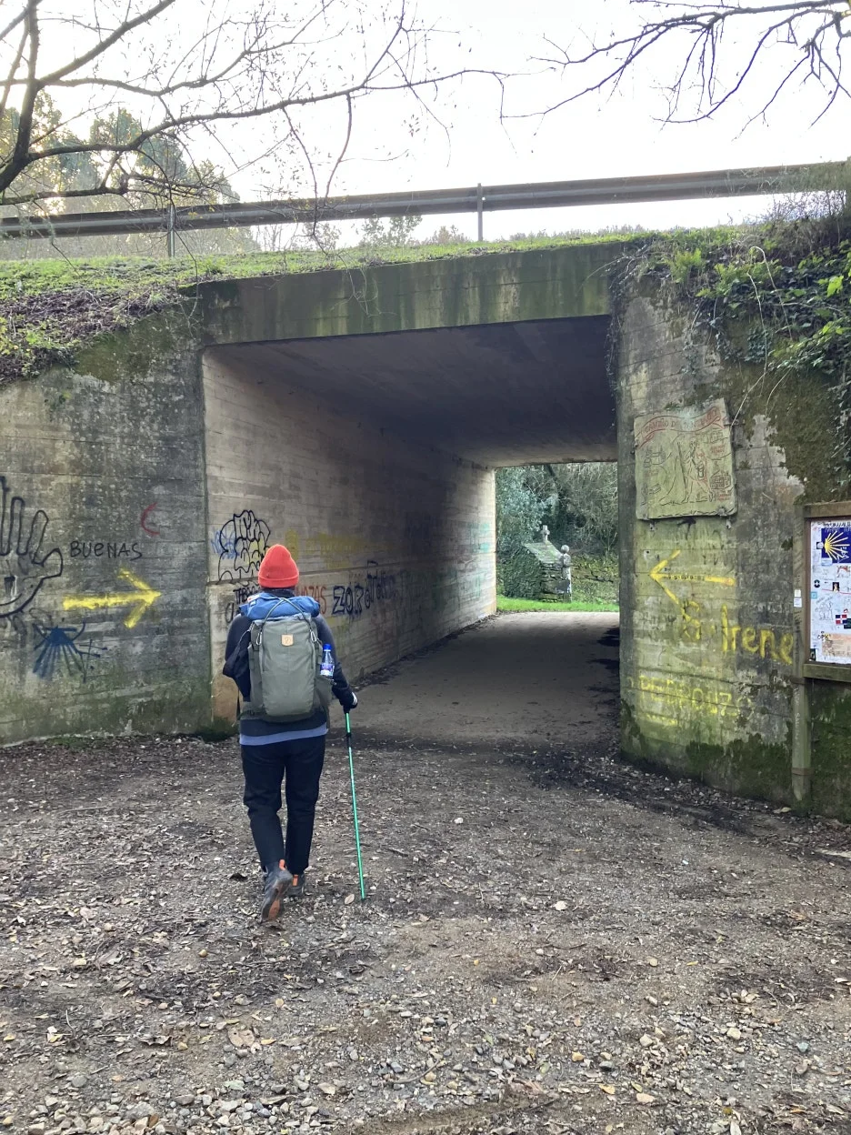 IMG_9593.jpg?type=w1