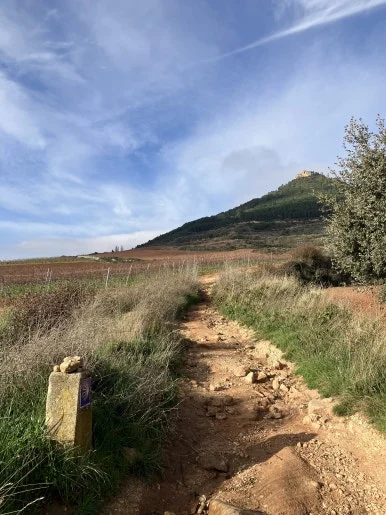 IMG_2621.jpg?type=w386