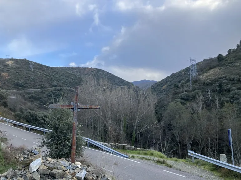 IMG_7148.jpg?type=w773