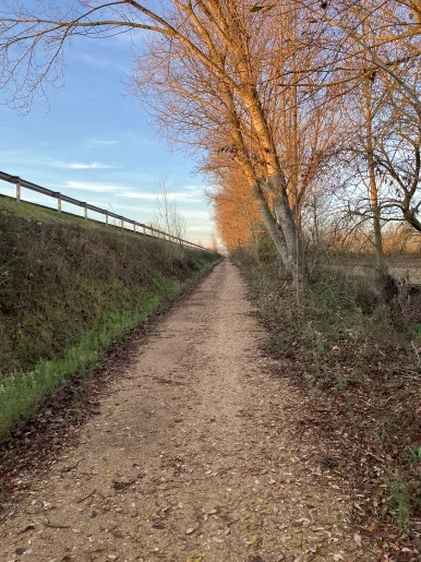 IMG_6222.jpg?type=w386