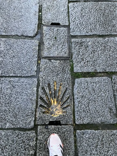 IMG_3290.jpg?type=w386