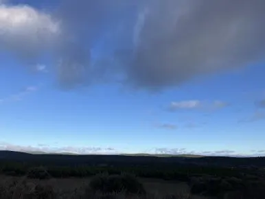 IMG_6636_2.jpg?type=w386