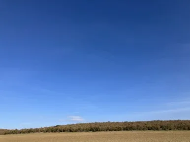 IMG_4980.jpg?type=w386