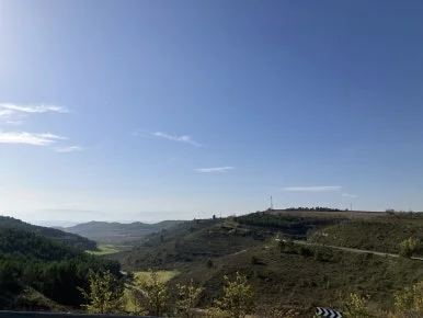 IMG_2788.jpg?type=w386