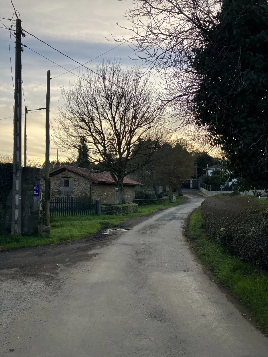 IMG_9421.jpg?type=w1