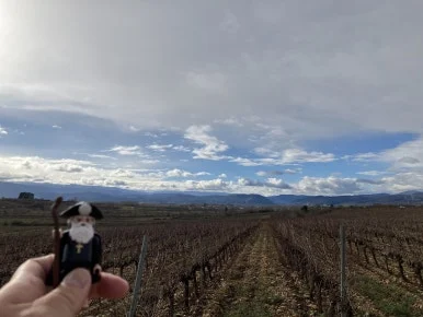 IMG_7460.jpg?type=w386