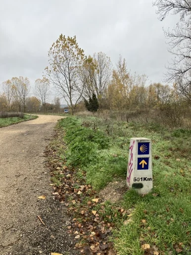 IMG_4413_2.jpg?type=w386