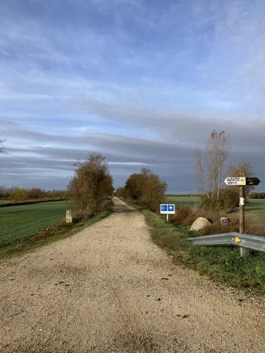 IMG_4936.jpg?type=w386