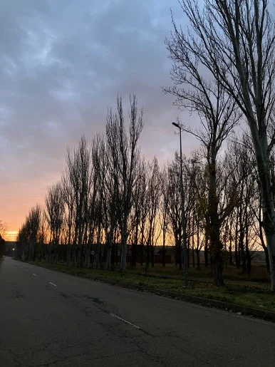 IMG_5246.jpg?type=w386