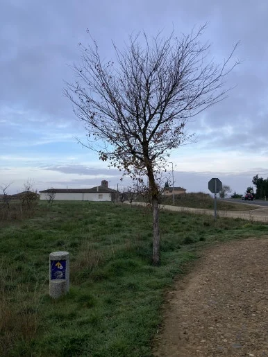 IMG_5051_2.jpg?type=w386