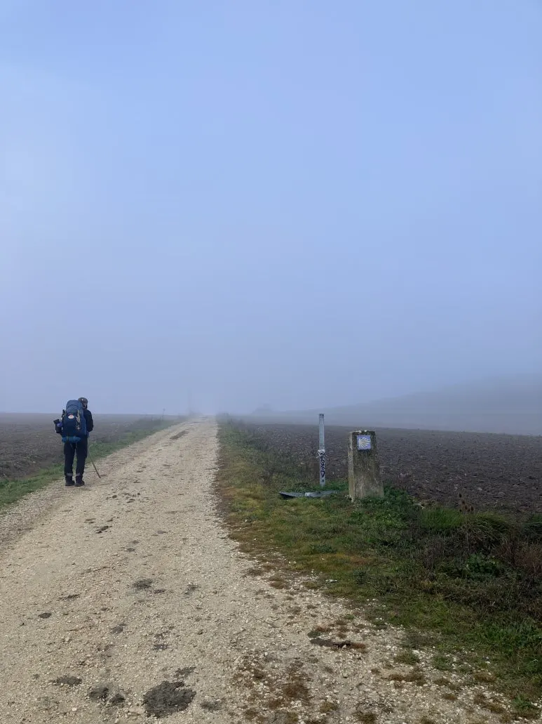 IMG_3571.jpg?type=w773