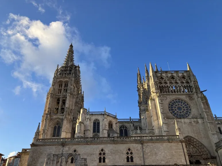 IMG_4356.jpg?type=w773