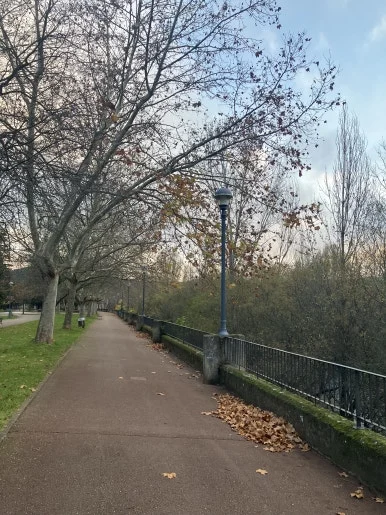 IMG_7289.jpg?type=w386