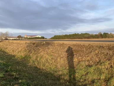 IMG_5049_2.jpg?type=w386