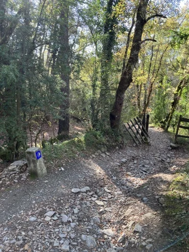 IMG_2120.jpg?type=w386