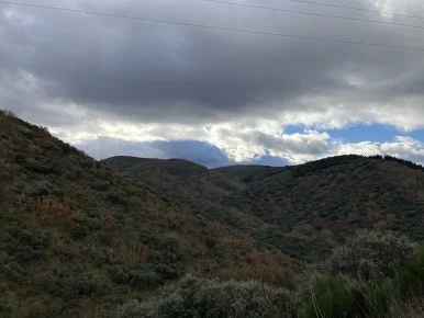 IMG_7118.jpg?type=w386