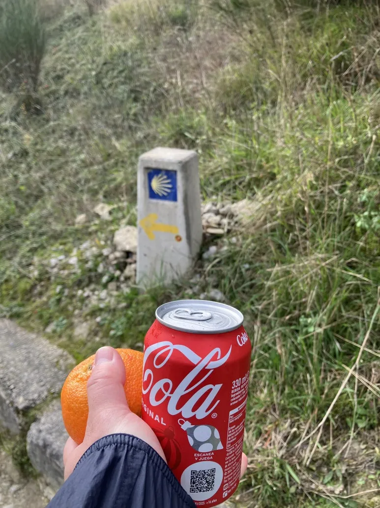 IMG_2185.jpg?type=w773