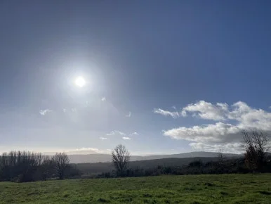 IMG_6775_2.jpg?type=w386