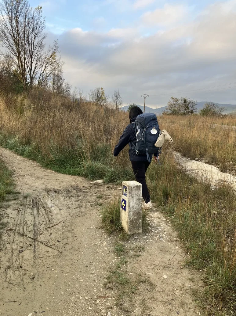 IMG_2141.jpg?type=w773