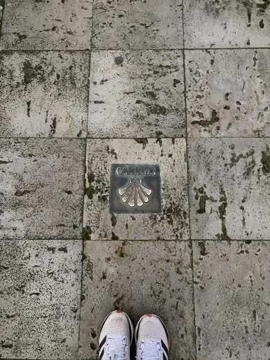 IMG_4909.jpg?type=w386