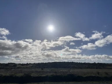 IMG_6720_2.jpg?type=w386