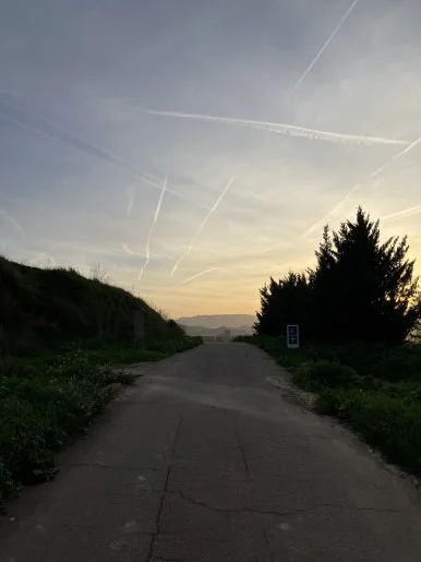 IMG_2901.jpg?type=w386