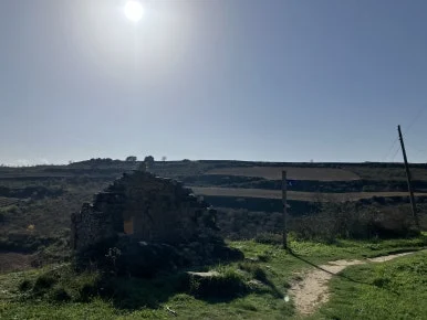 IMG_2809.jpg?type=w386