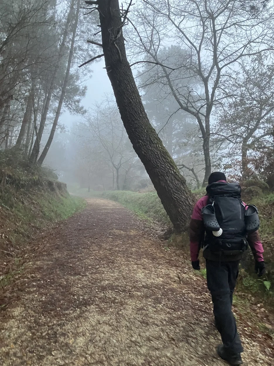 IMG_8783.jpg?type=w1