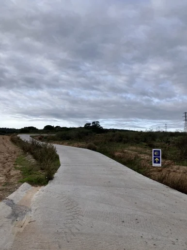 IMG_2990.jpg?type=w386