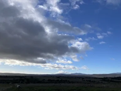 IMG_6663_2.jpg?type=w386