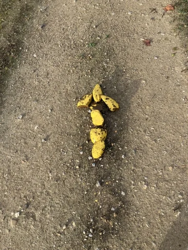 IMG_5277.jpg?type=w386