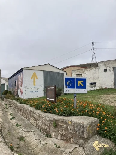 IMG_4493_2.jpg?type=w386