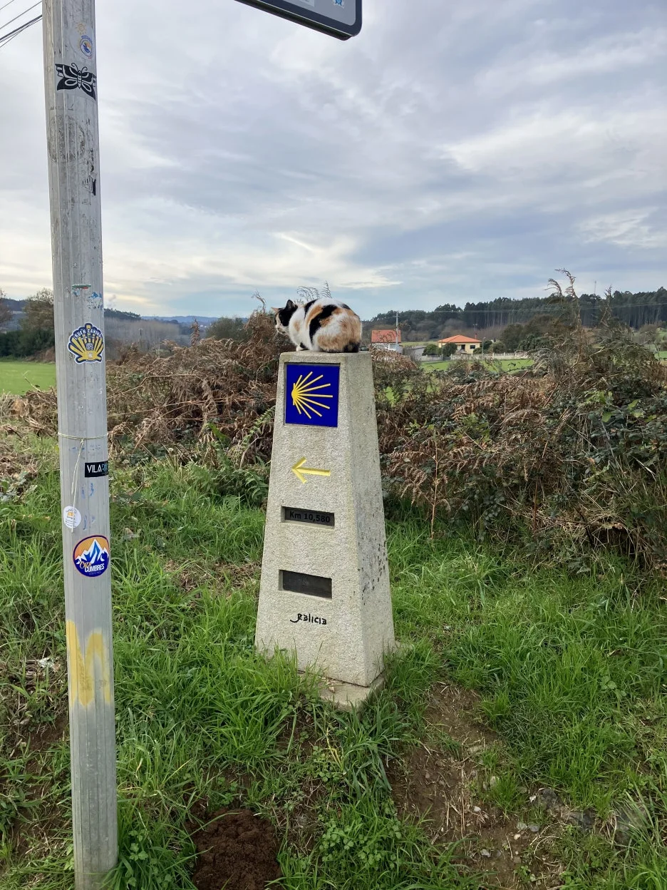 IMG_9739.jpg?type=w1