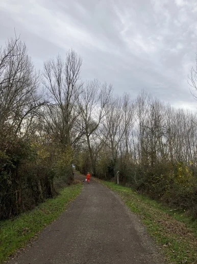 IMG_6167.jpg?type=w386